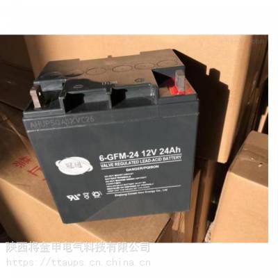 雅安冠通蓄电池6-GFM-200直流屏UPS电源通信机房12V200AH定制