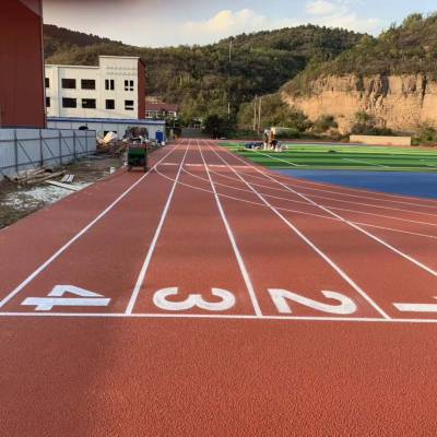 新国标塑胶跑道材料中小学幼儿园运动地面地坪EPDM橡胶颗粒厂家施工