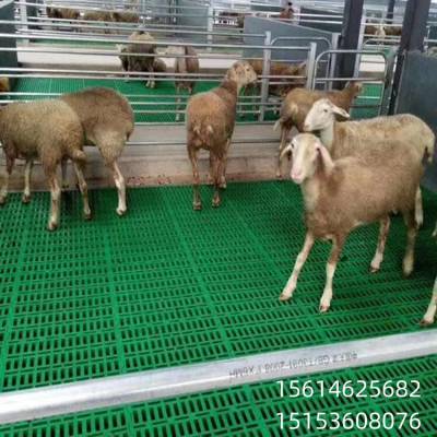 新疆高架羊床 塑料羊粪板 羊舍用纯原料双筋加固羊粪板