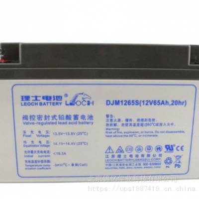 出售理士UPS电池DJ3000参数大同/出售理士UPS电池参数