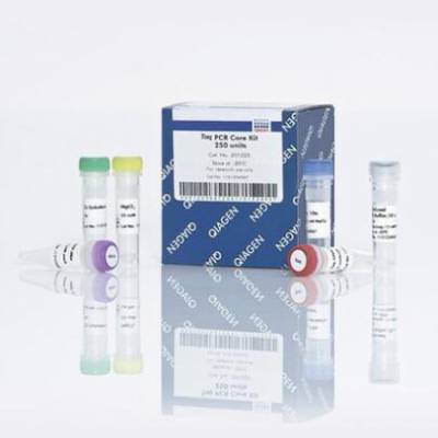 Qiagen 201223 PCRԼ 250T