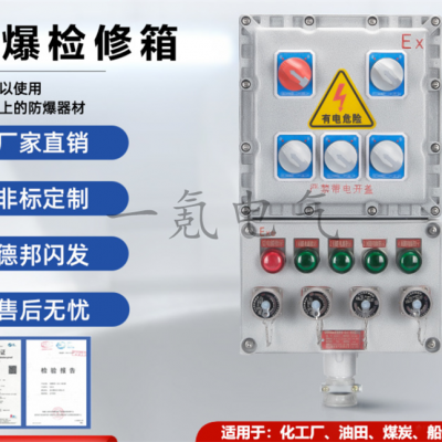 IP65防爆电源检修箱BXK51华荣配电箱 移动式挂壁式隔爆接线箱IICT4