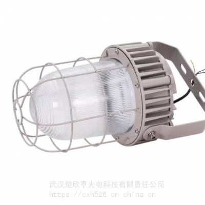 ʽLED FAD-E70hA 1x70W WF2 IP65 1x30W IIC