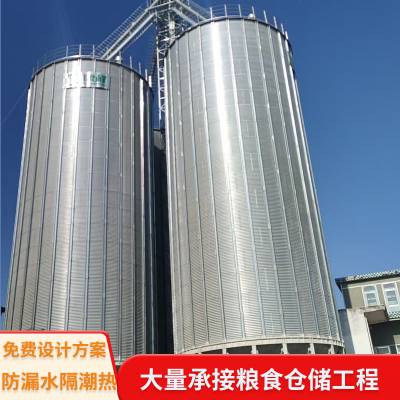 康程装配式1500吨钢板仓 锥底钢板粮仓 规格齐全 粮农储粮筒仓