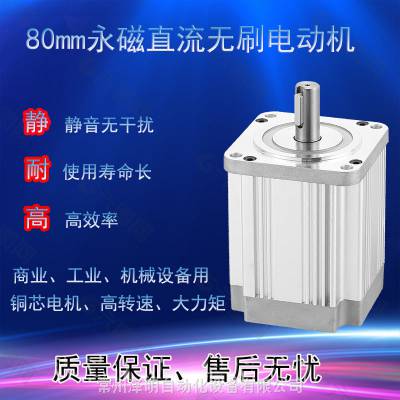 80BL13031ֱˢ310V3000ת