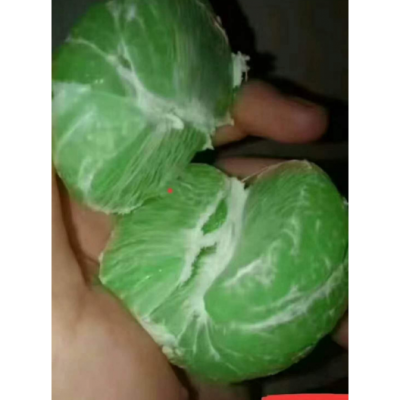 и ŷ 㽭ƷũҵӦ