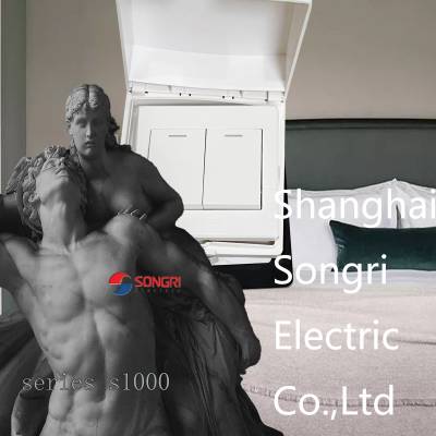 ذťϺգSONGRIװ˫ ƱڵƵԴ 86ͷˮ˫