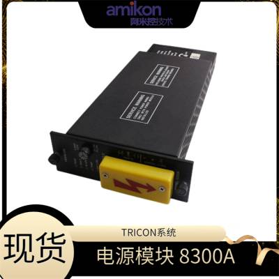 ģ TRICON3604E ͨڿɱ̿