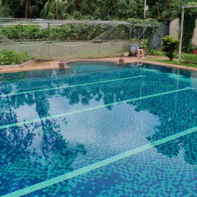 自贡恒温游泳池厂家 会所泳池吸污机供应