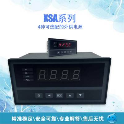 ӦXSA-AH1IKT1A1B1S2V0ʾǱ 0.05ȣٶÿ10