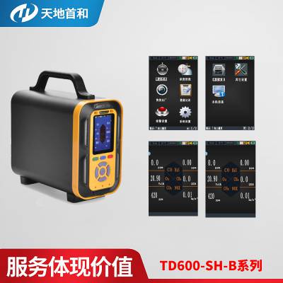 手提式氟化氢分析仪 TD600-SH-B-HF 有毒有害气体探测仪