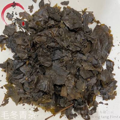 毛冬青茶、中药花茶毛冬青茶哪家卖得好