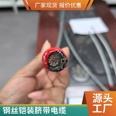 水密同轴网线线 耐酸碱脐带电缆 水下防腐钢丝铠装承重电缆