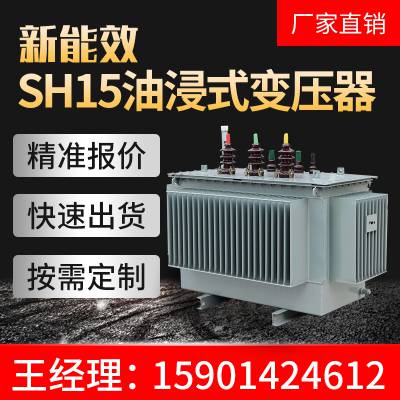 sh15-m-1250/10/0.4kV 1250kvaǾϽѹǮ ͱ۸