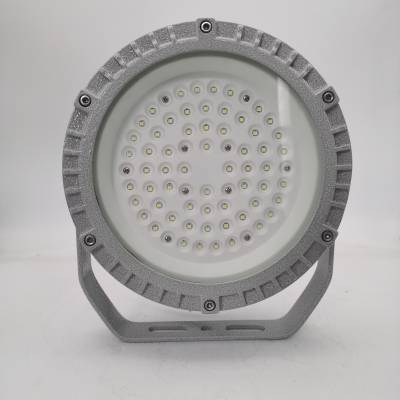led ExdIICT6 50w˵ ҷ
