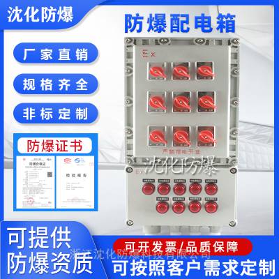 化工石化行业使用防爆照明动力配电箱 定制电伴热仪表插座电源箱