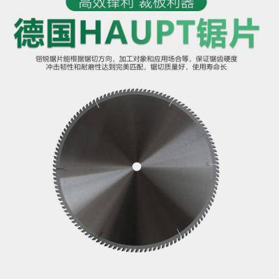 德国HAUPT木工金属开槽锯片合金槽锯锯片