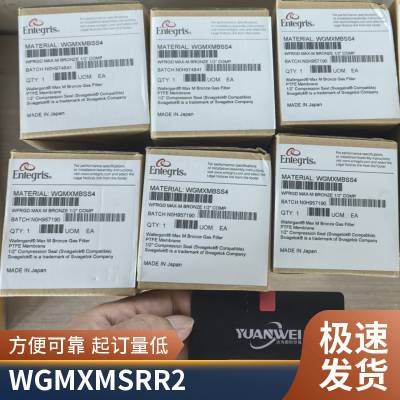 Entegris 英特格 应特格 1/2寸 气体 垫片式过滤器 WGPM0GGT4