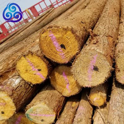 天津直供杉木杆高压线电网防护用沙杆源头货
