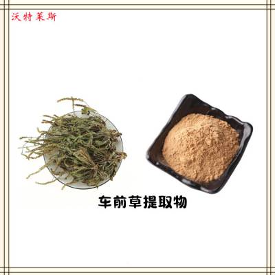 ǰȡ10:1 Ũ ȡҺ  ֹ 1kg 