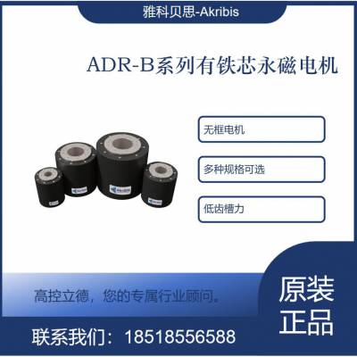 ADR110-B113-S-J-H9D-0.5-FB-AB-3005-SINCOS-P15-0RB ѯ