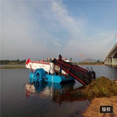 江苏打捞水草船效率 收集水浮莲机械 水葫芦打捞船