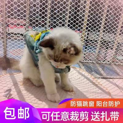 养小鸡塑料漏粪网 养鸭脚垫网 封窗户防猫围栏网