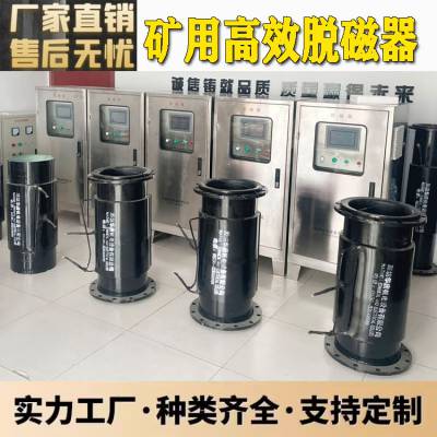 磁场强度脱磁器 磁系退磁机 湿式矿浆脱磁机 上部给矿消磁器