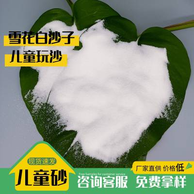 20-40目白沙子泳池砂缸过滤填料白色石英砂环氧地坪真石漆雪花白