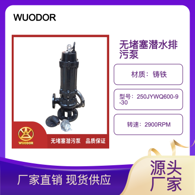 250JYWQ600-9-30޶ˮ ԶǱˮ۱ Ǳ۱