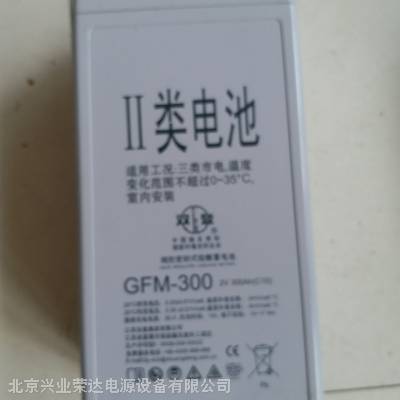 ˫GFM-300/2V300AH 