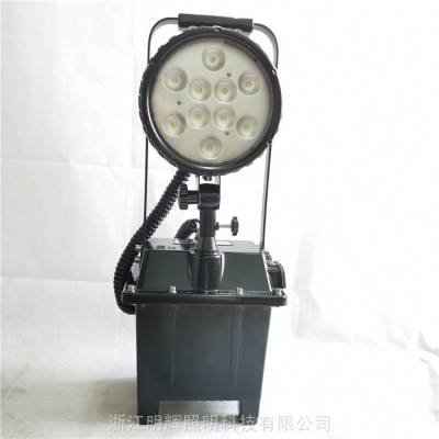 FW6101BT⹤FW6102gf-30w