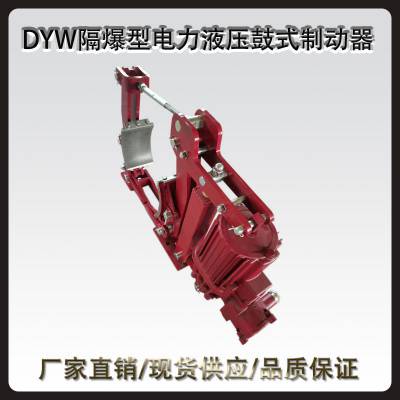 欢喜 DYW315-900隔爆型电力液压鼓式制动器