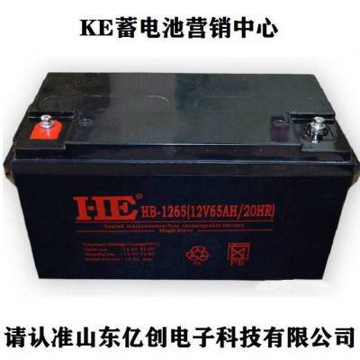 HE蓄电池HB-1265 12V65AH/20HR营销中心 UPS/EPS直流屏