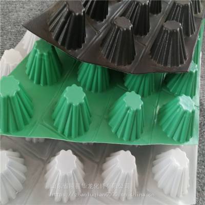 山东塑料排水板厂家 凸高0.8cm克重750克黑色HDPE排水板