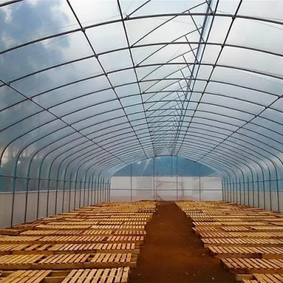长治家禽养殖温室大棚造价公司 钢架构抗风雪能力强 鲁苗