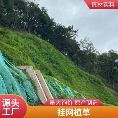 边坡喷播植草绿化施工 郁林 承接客土喷播 挂网护坡 植被混凝土喷草种