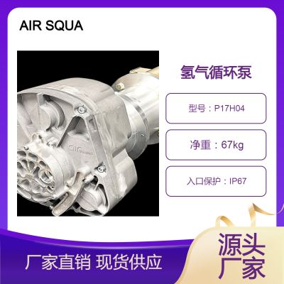 AIR SQUARED 氢气循环泵 P17H04 运行安静平稳 半密封设计