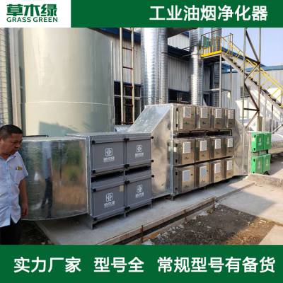 除味油烟净化设备 工业和餐饮油烟净化装置 草木绿油烟净化器