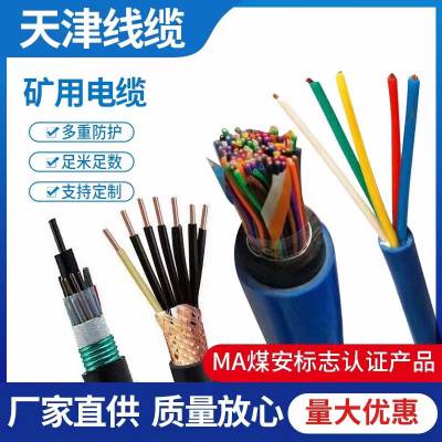 钢带铠装总线电缆ASTP-120-2X2X18AWG UL AWM 2919天联牌