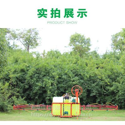 手推式高压喷雾器-棉花四驱喷药机..-曲阜佳诚机械
