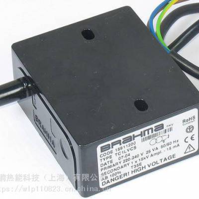 BRAHMA布拉玛TD2STPAF CODE 15910556点火器2*10KV