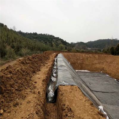 1.3mm厚HDPE土工膜抗穿刺防水材料 藕池土工膜隔根防水 润业土工