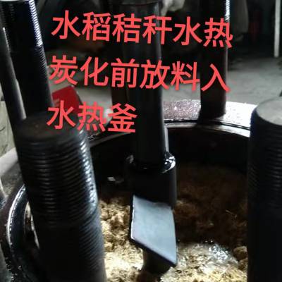 实验室3L水热生物炭炭化炉/不锈钢高温水热炭化设备