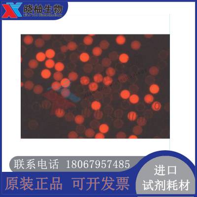 Thermo Cyto-Plexʽϸӫ΢(Ȼ) 1ml FM4CR01