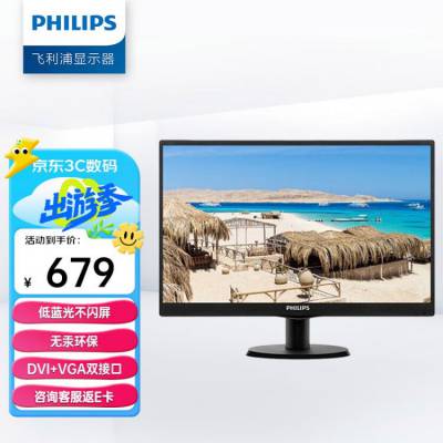 飞利浦（PHILIPS）18.5英寸 办公显示器 LED 低蓝光 不闪屏 DVI+VGA 可壁挂 商用监控 电脑显示屏