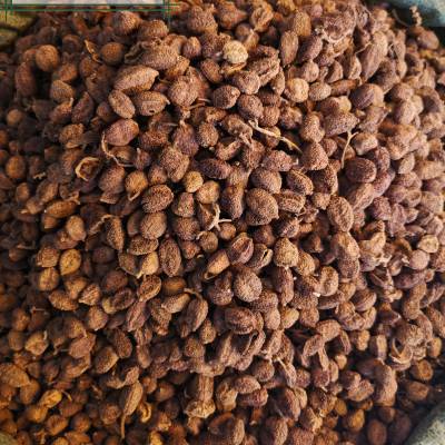 阳春砂仁功效与作用缩沙蜜缩砂仁缩砂密春砂仁缩砂蜜缩砂蔤