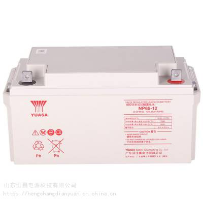 YUASAǳNP65-12ʽǦƿ12V6***H UPSֱEPSԴ