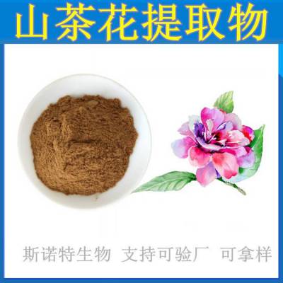 山茶花提取物 斯诺特生产 采用喷雾干燥工艺 水溶可拿样测试