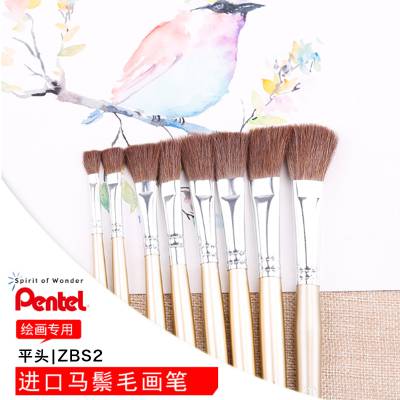 ձPentel/ͨZBS2ëƽͷˮʻˮۻëë